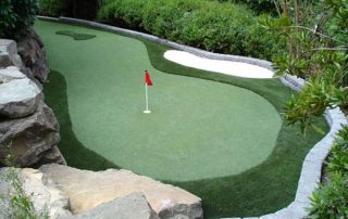 Synthetic Grass and Turf Putting