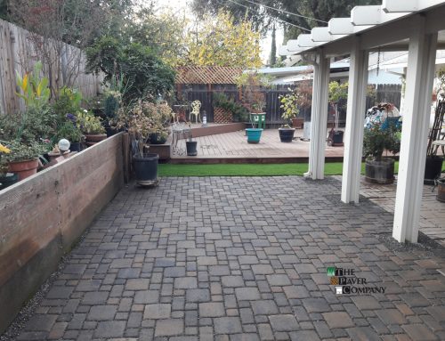 Custom Paver Stone Backyard in Rosemont, Sacramento
