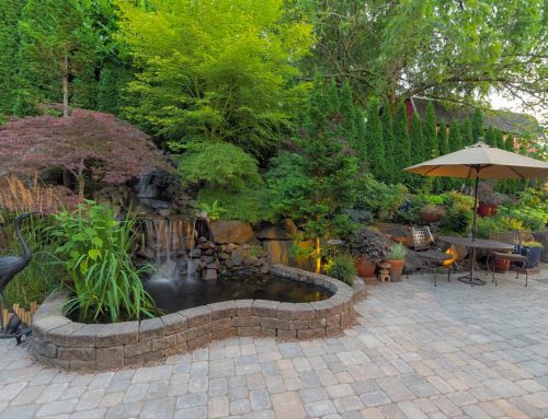 Top 7 Myths About Paver Stones Debunked