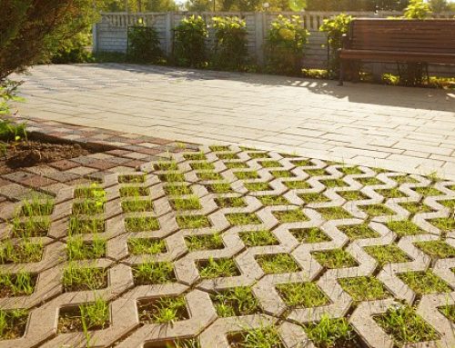 Pros and Cons of Installing a Permeable Paver
