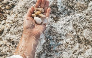 paver stone