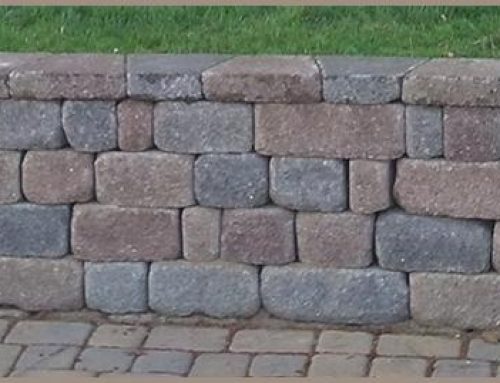 Permeable Paving: An Eco-Friendly Choice in Today’s Era